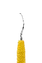 R013_E2.webp