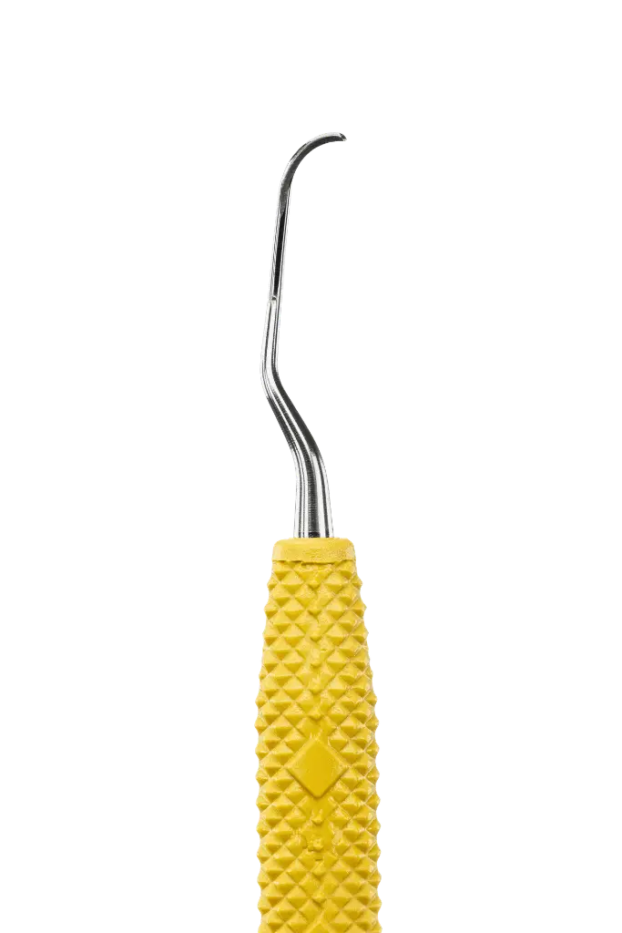 R042_E4.webp