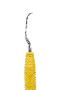 R042_E4.webp