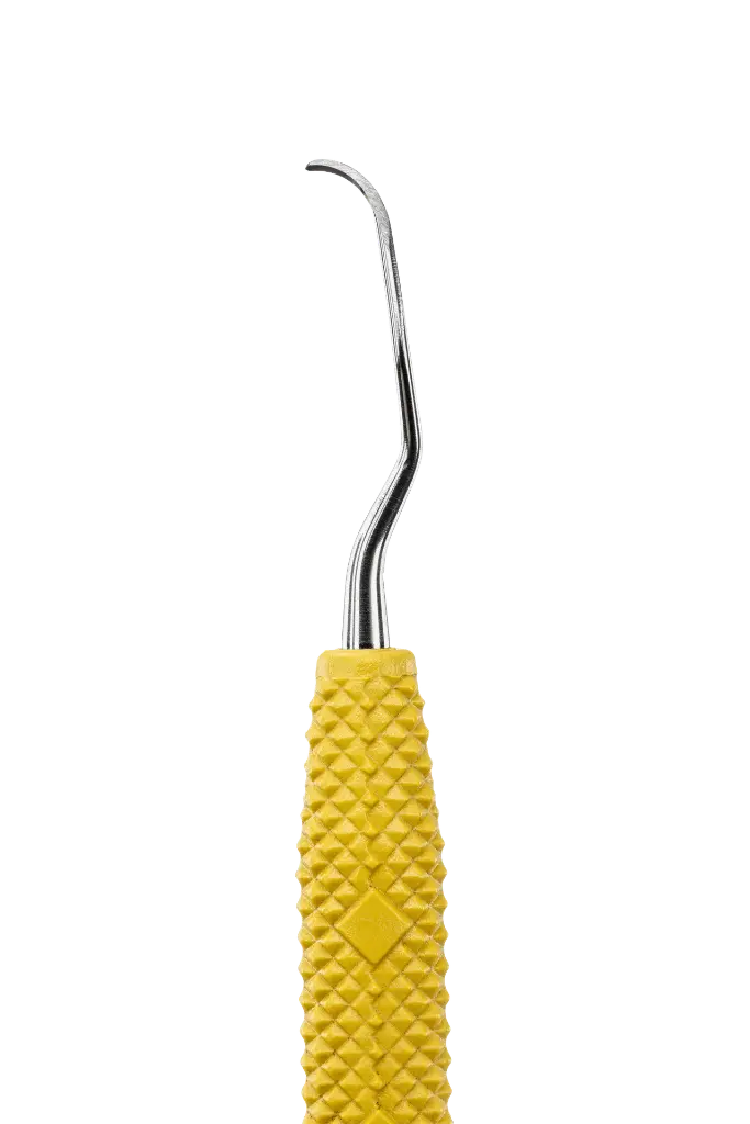 R042_E2.webp
