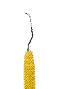 R042_E2.webp