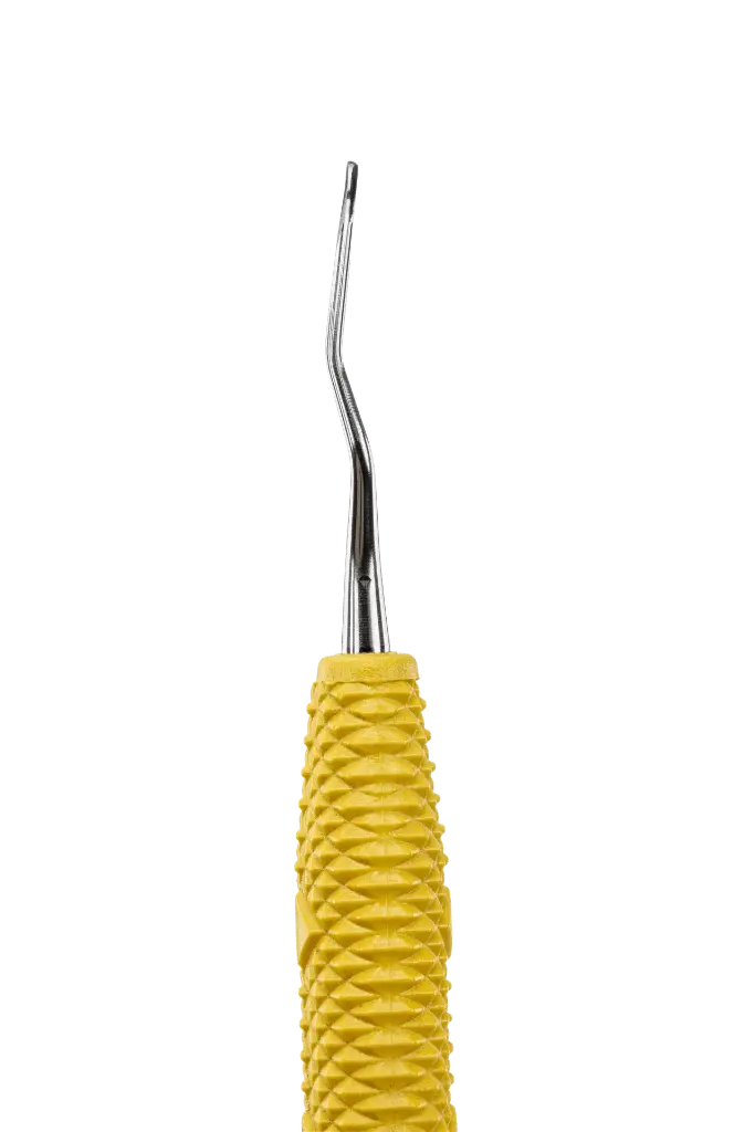 R042_E3.webp