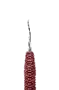 R144_E3.webp
