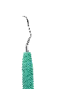 R028_E2.webp