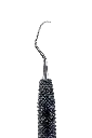 R022 _E3.webp
