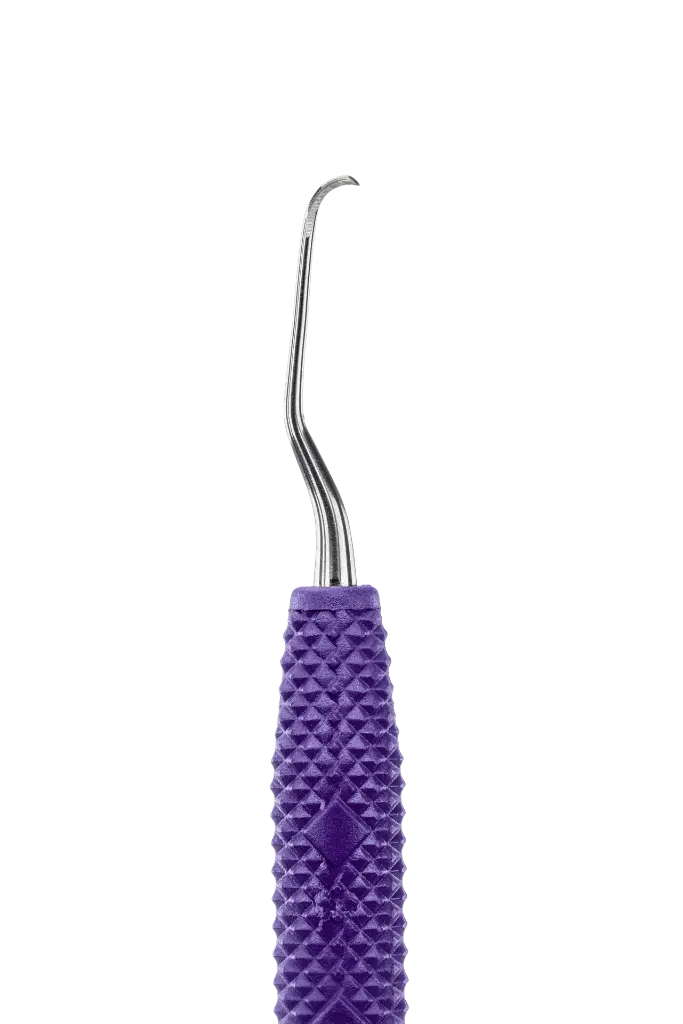 R001_E3.webp