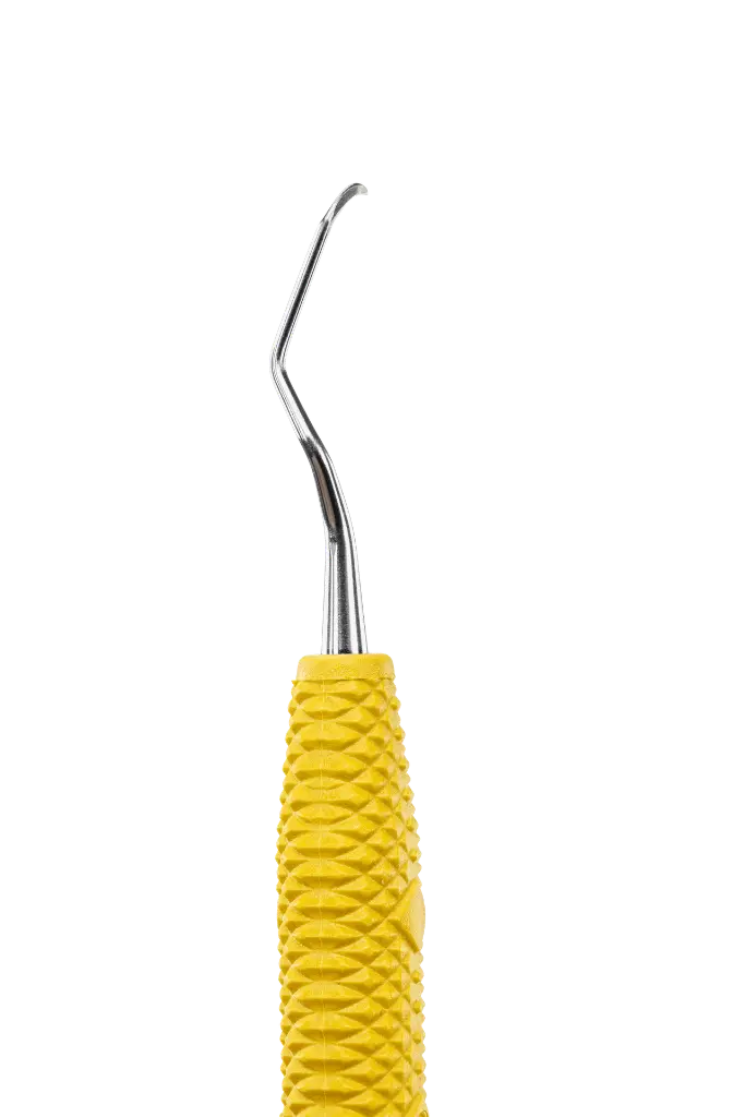 R008_E4.webp