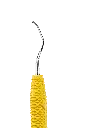 R008_E2.webp