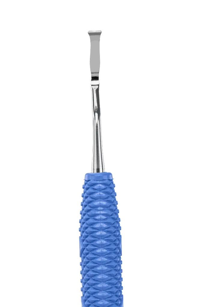 R446_E1.webp