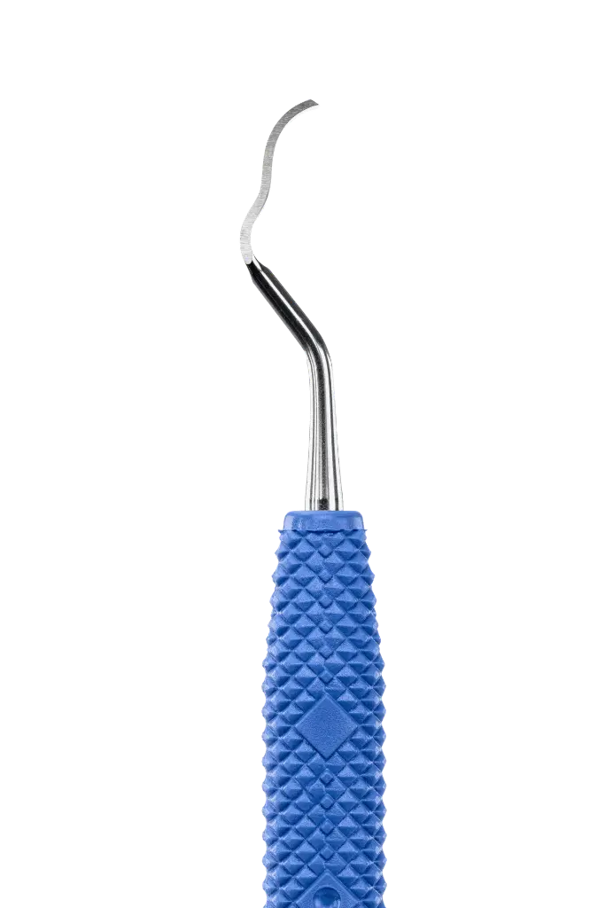 R446_E2.webp