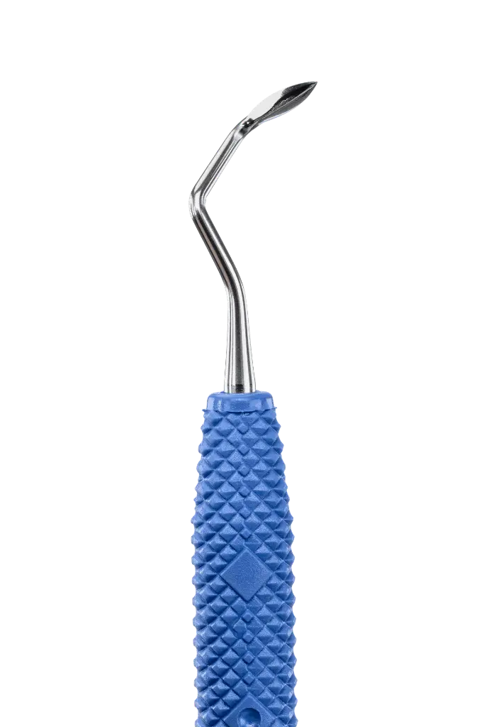 R445_E2.webp