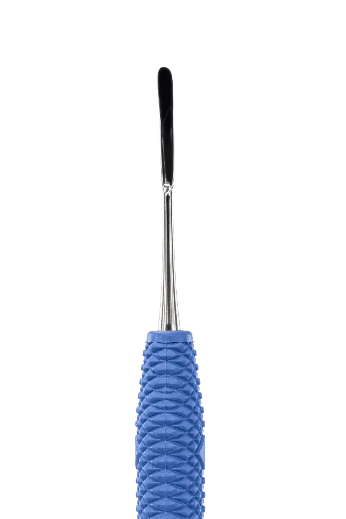 R442_E1.webp