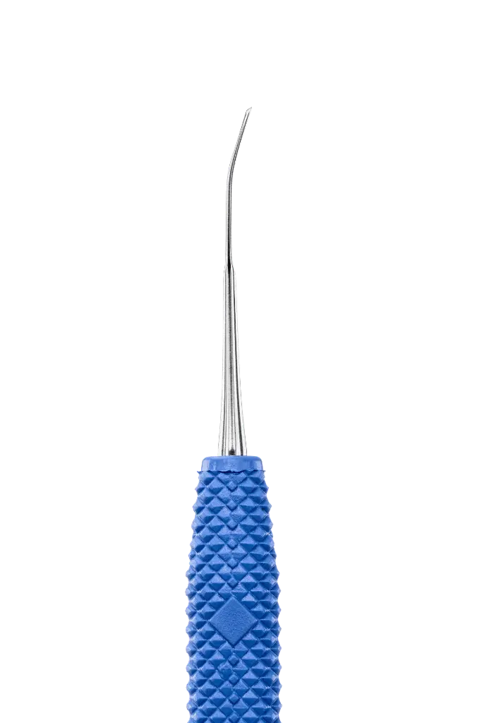 R442_E2.webp