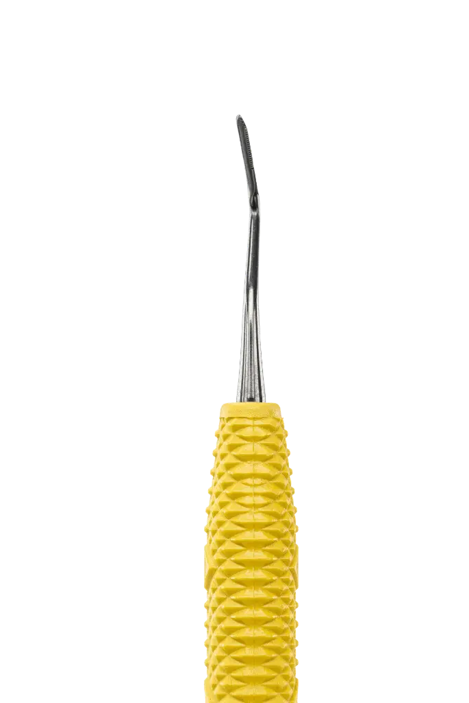R258_E3.webp