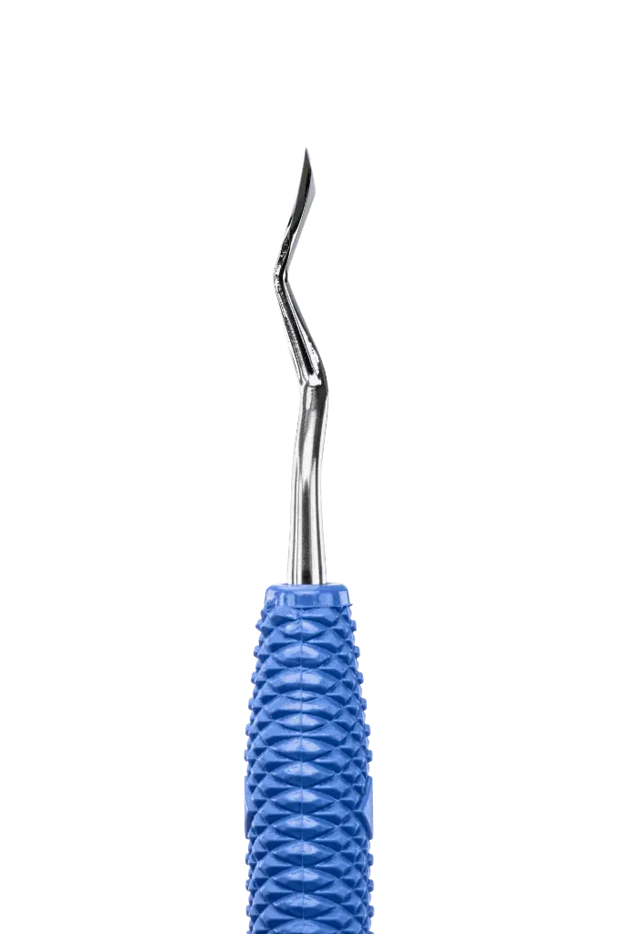 R449_E1.webp