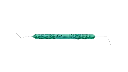 R311_F.webp