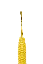 R538_E3.webp