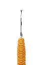 R630_E3.webp