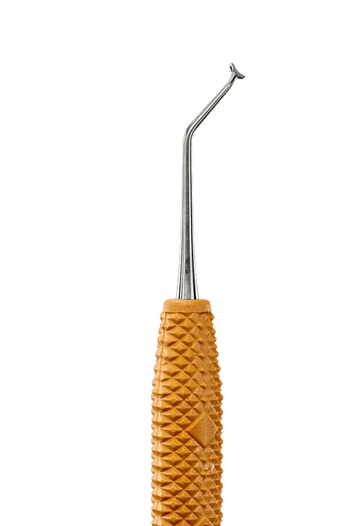 R631_E5.webp