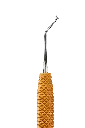R631_E5.webp