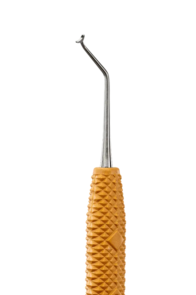 R631_E2.webp