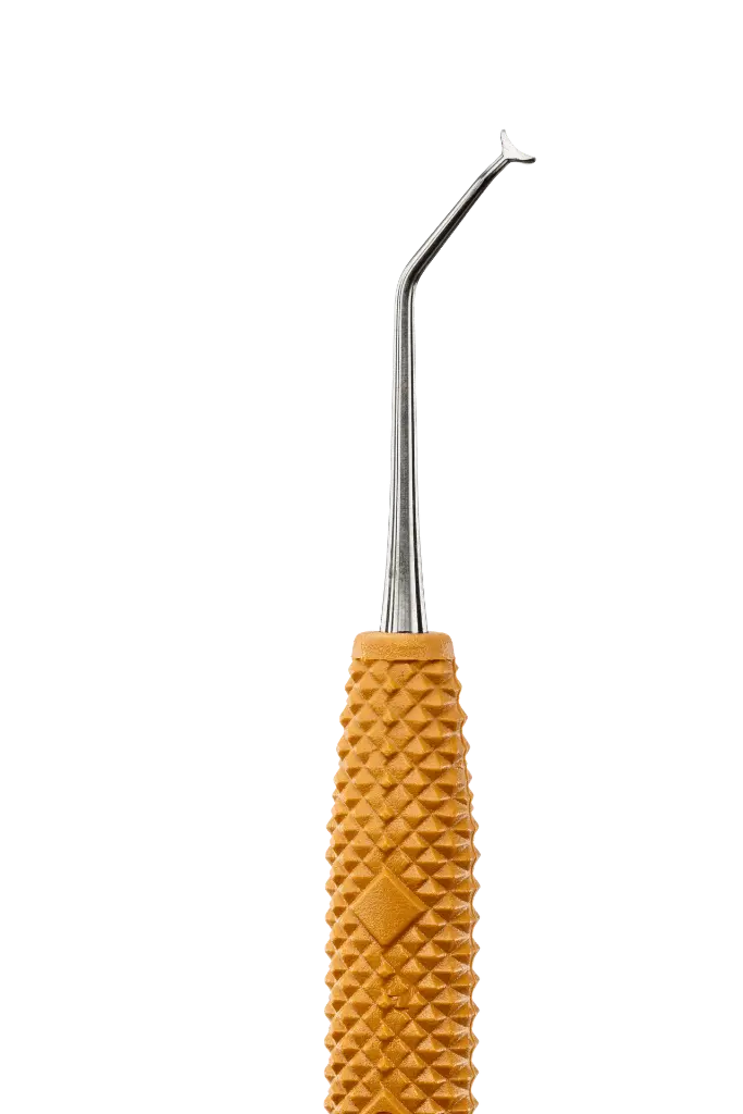 R631_E6.webp