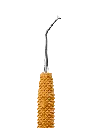 R631_E6.webp