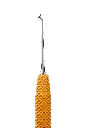 R632_E6.webp