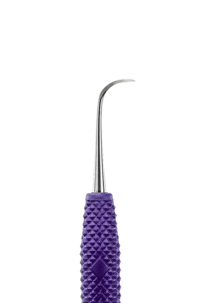 R093_E4.webp