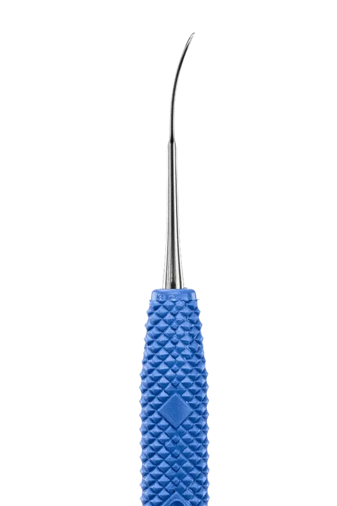 R443_E2 (1).webp