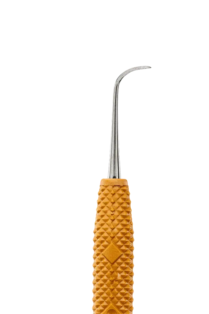 R693_E2.webp