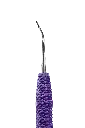 R130S_E2.webp