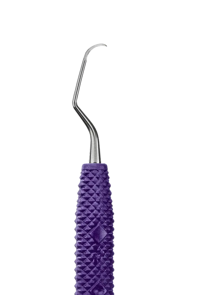 R091_E3.webp