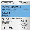 9553-F.webp