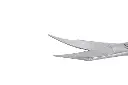 zh8ohgct.webp