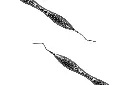 joifilov.webp