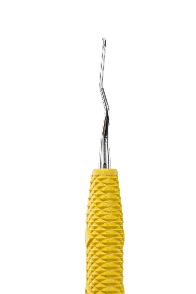 R006_E3.webp