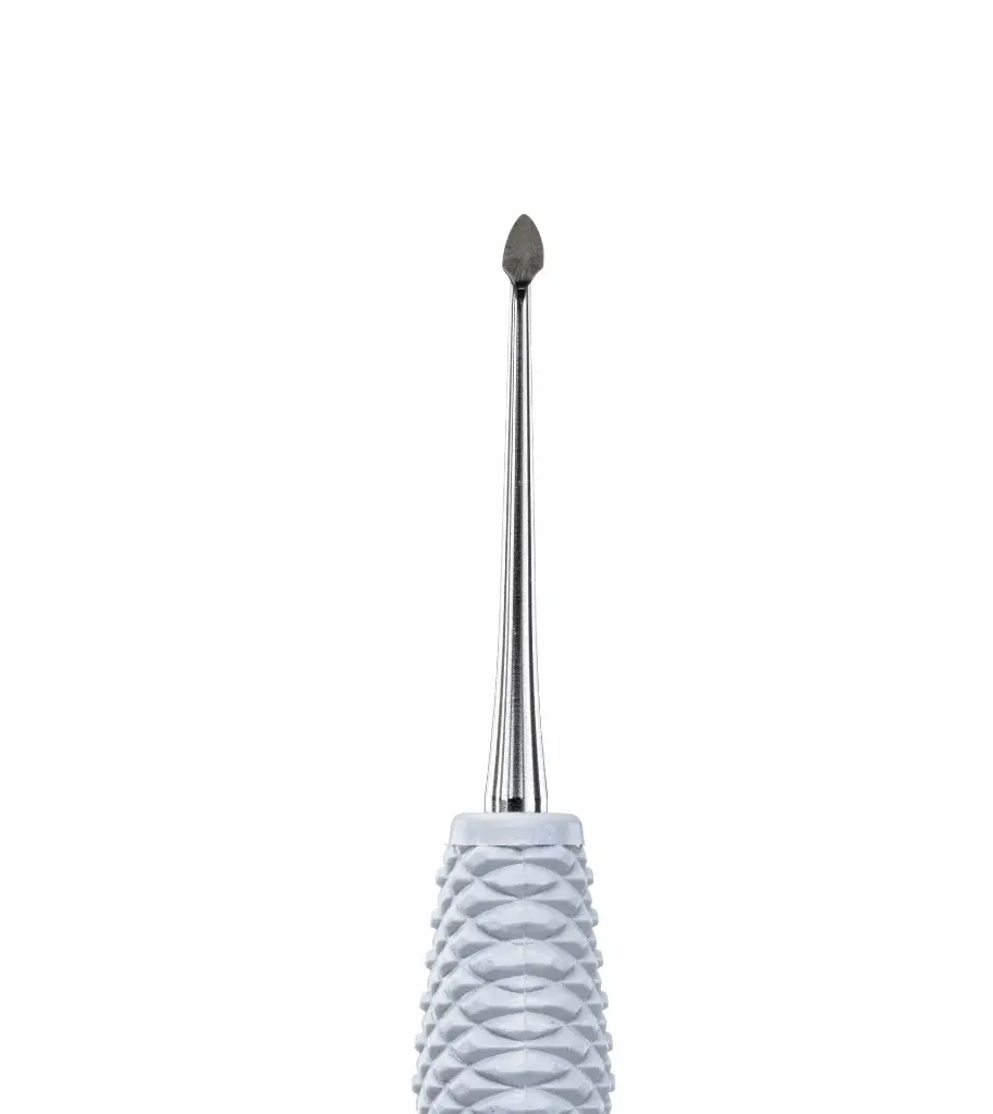 Discoide-Cleoide 89/92 DC