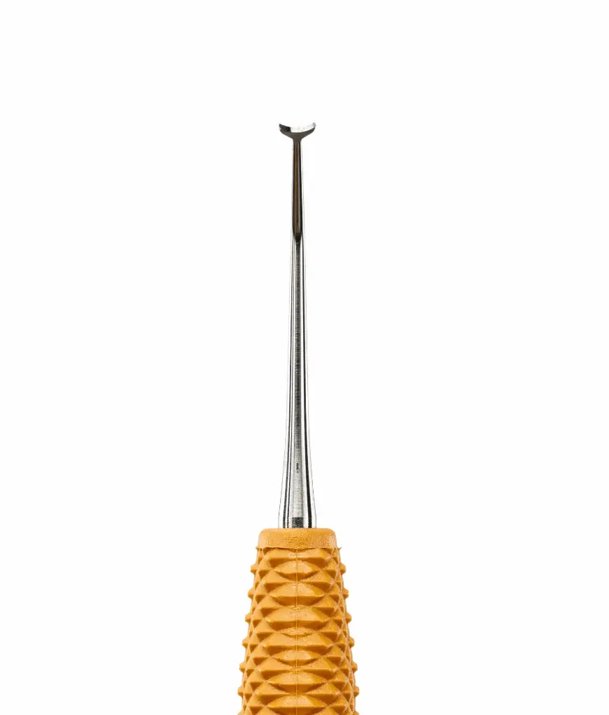 Pineyro Arch Ti 1